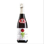 VINO LAMBRUSCO DI SORBARA SPUMANTE DOP GINO FRIEDMANN X 750ML